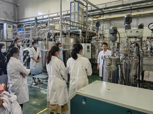 天津科技大學2022-2023年度中青年教師工程能力培訓課程圓滿結(jié)束